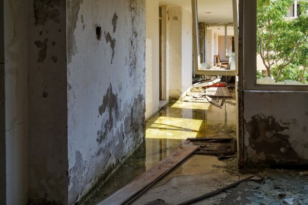 Water Removal Service in Powell