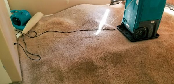 Carpet Water Extraction in Powell