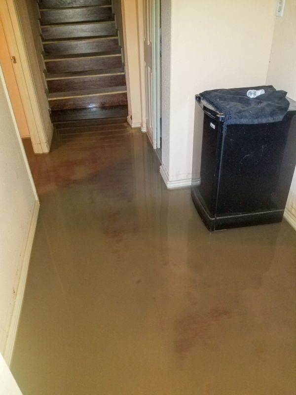 Basement Water Removal