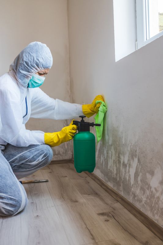 Mold and Bacteria Removal